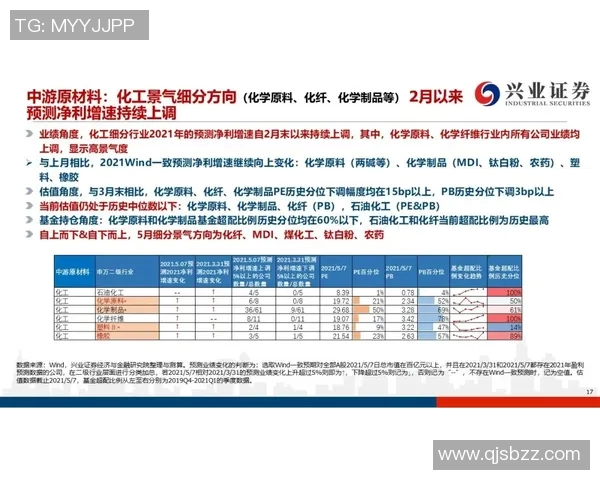 金智善：从职场新星到行业领军人物的成长之路与成功秘诀