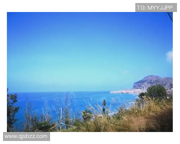 探索帕勒莫的魅力与历史深度体验这座西西里岛上的文化瑰宝